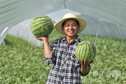 扎西枫丹娱乐吃瓜作品,揭秘娱乐圈背后的“吃瓜”故事