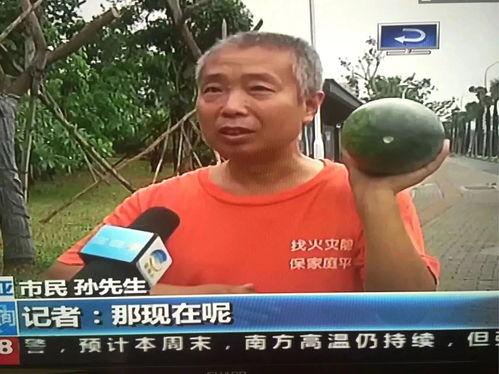 娱乐圈吃瓜群众热点,揭秘明星幕后恩怨情仇